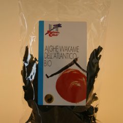 ALGHE WAKAME ATLANTICO FINESTRA SUL CIELO