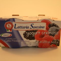 YOGURT FRUTTI DI  BOSCO SORESINA