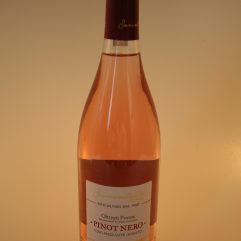 PINOT ROSATO BRONIS