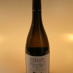 GIRLAN PLATT E RIEGL