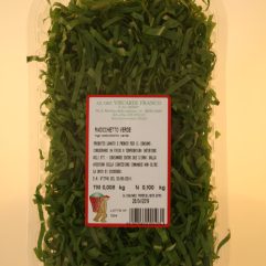CICORIA VERDE FINE
