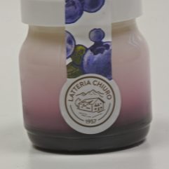 YOGURT AL MIRTILLO PRODOTTO DA LATTERIA SOCIALE DI CHIURO
