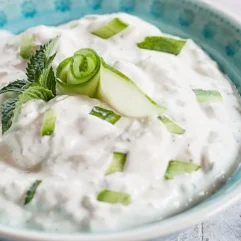 TZATZIKI , SALSA GRECA A BASE DI YOGURT , CETRIOLI ED AGLIO